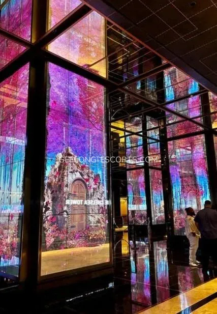 Geelong escorts Felicia — 4